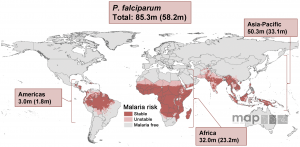 Malaria Pregnancy Risk