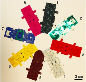 Foldscope Paper Microscope